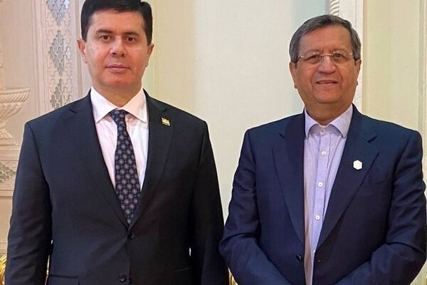 گزارش همتی از رشد روابط اقتصادی ایران و تاجیکستان
