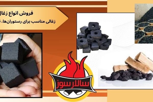 راهنمای جامع مهاجرت و ترجمه مدارک تحصیلی: از برنامه ریزی تا موفقیت