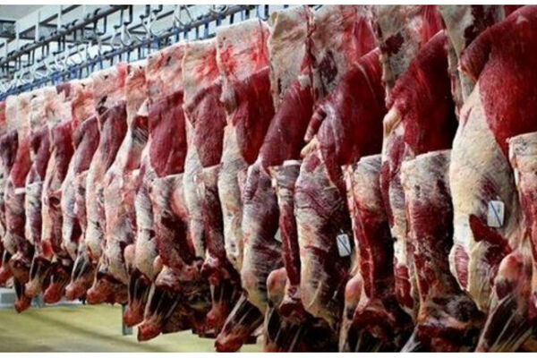 قیمت هر کیلو گوشت گوسفندی چند؟