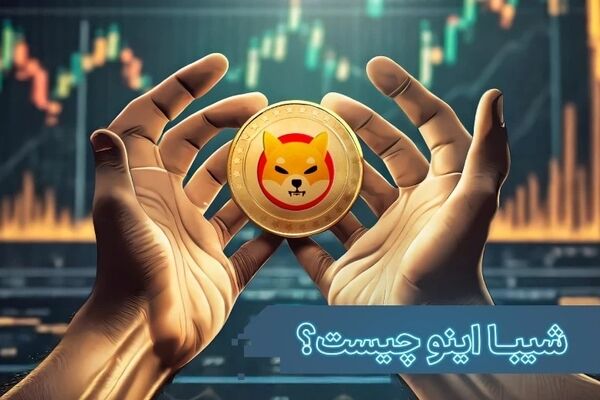 شیبا اینو چیست و چه کاربردی دارد؟